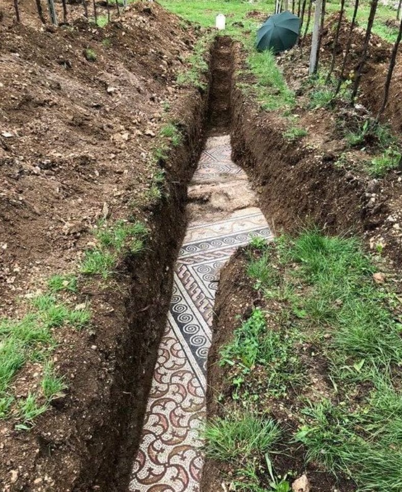 In Italy, a lovely mosaic floor was uncovered.