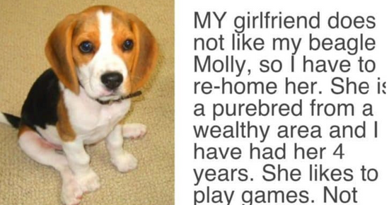 Man is given an ultimatum by his girlfriend to get rid of the dog or she will leave him; observe his response.