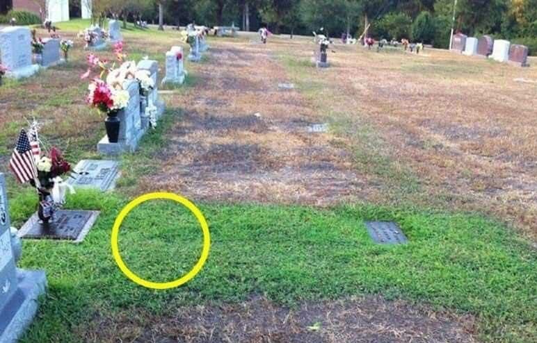 The Soldier’s Burial Plot Has Become Greener, and Mom Discovers a Stranger Has Been Secretly Visiting