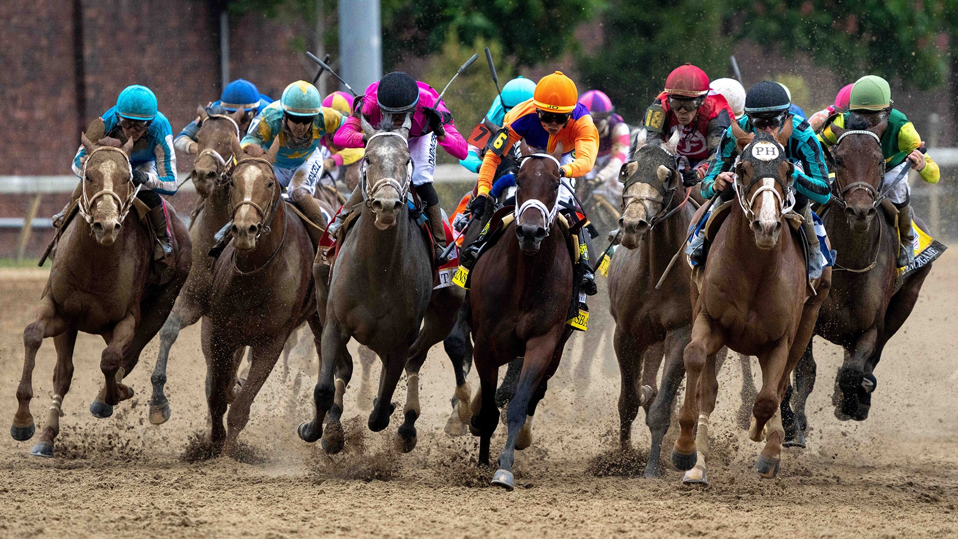 Seven horses died at Churchill Downs in the run-up to the Kentucky Derby in 2023.