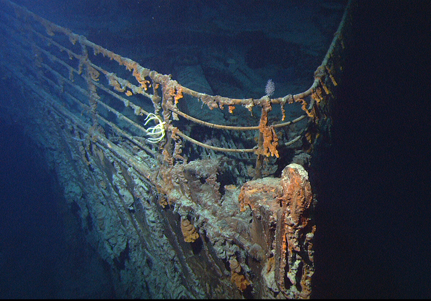 A ‘game-changing’ 3D scan of the Titanic reveals the ship’s last resting place in minute detail.