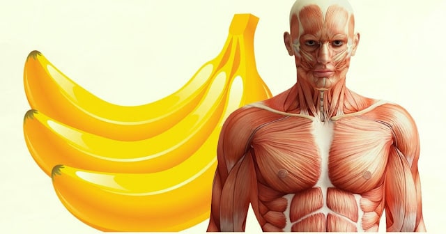 This is what happens to your body if you consume two bananas per day for a month.