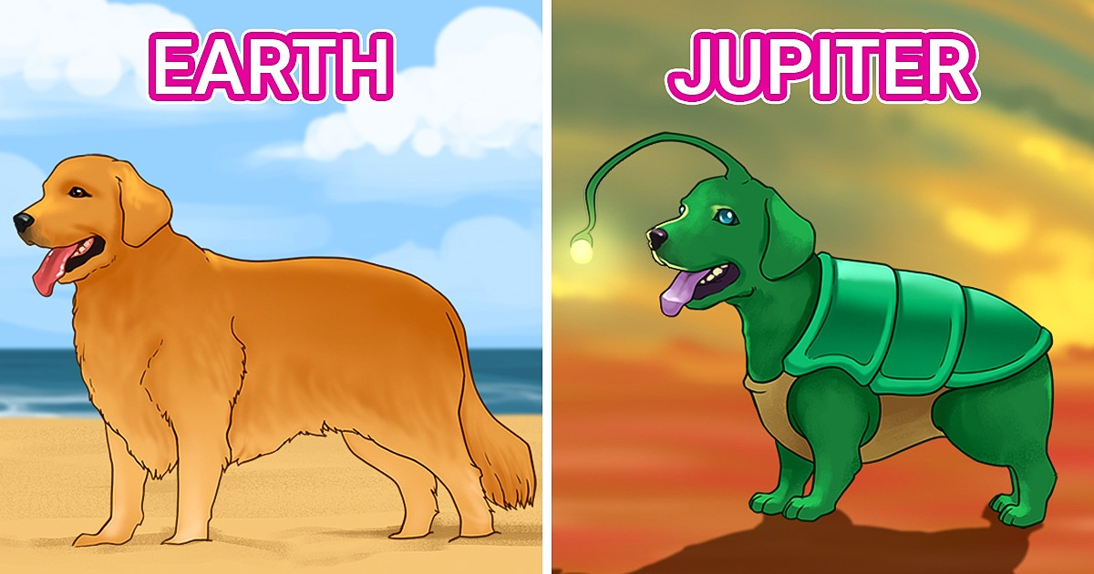 What Your Pet Might Look Like on 8 Different Planets