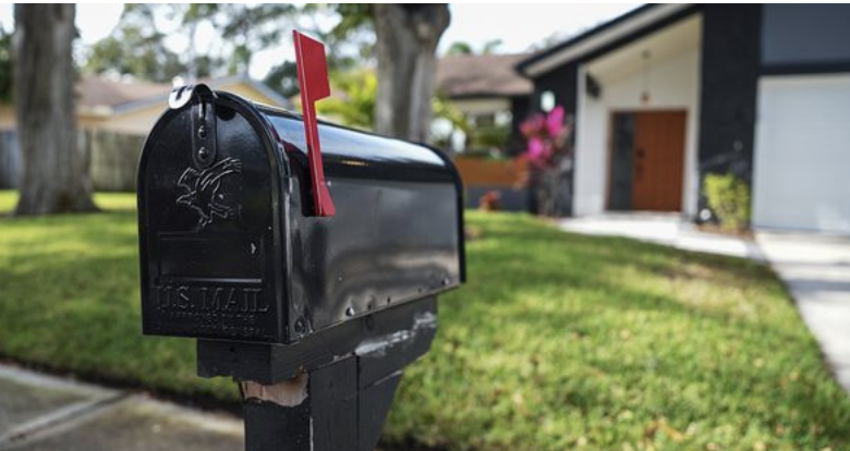 Keeping Wasps Away from Your Mailbox: A Simple Solution