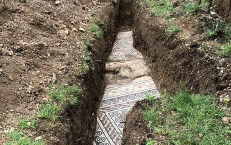 A beautiful mosaic floor was discovered in Italy