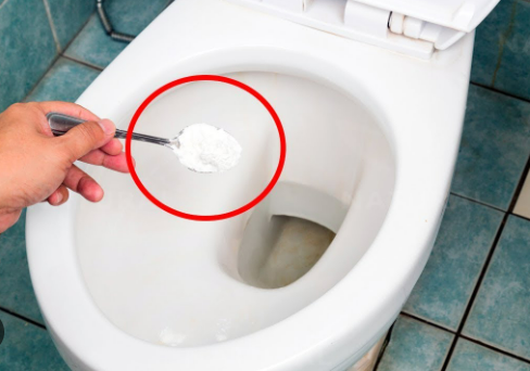 Why It’s Good to Pour Salt in the Toilet