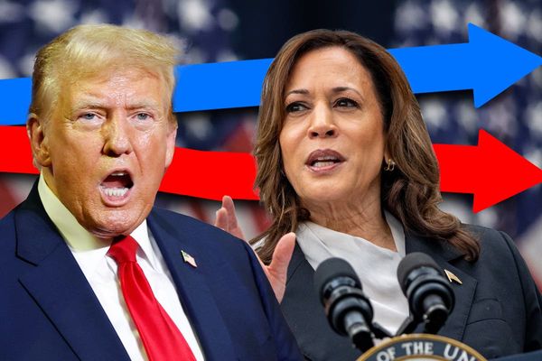 Can Kamala Harris Beat Donald Trump? Latest Poll Updates